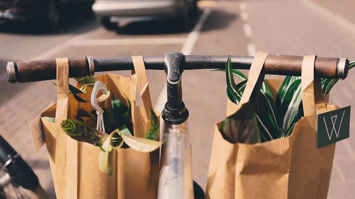 bolsas reciclables